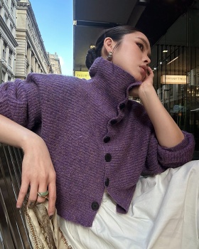 High collar purple sweater thick tops for women