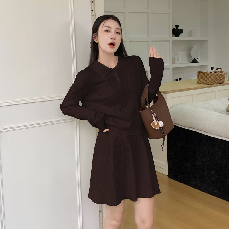 Korean style bottoming shirt knitted sweater 2pcs set