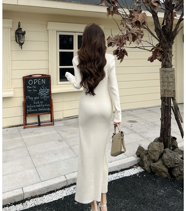 Temperament pinched waist long dress France style dress