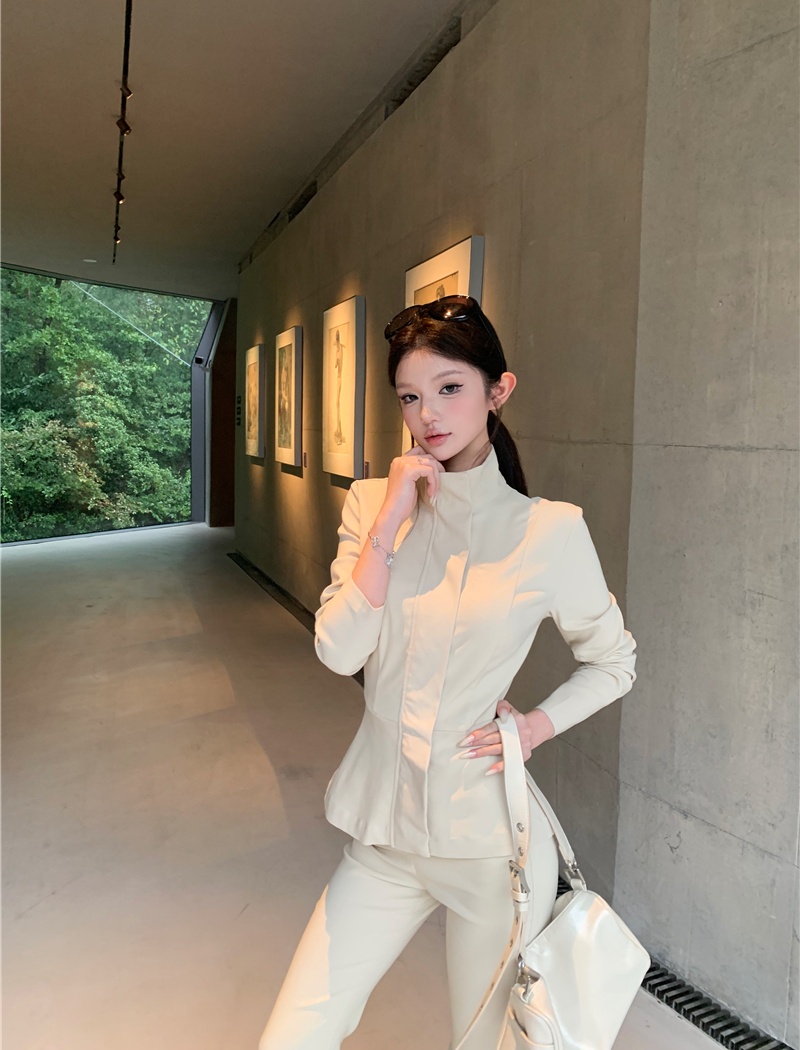 Cstand collar pants light tops 2pcs set for women