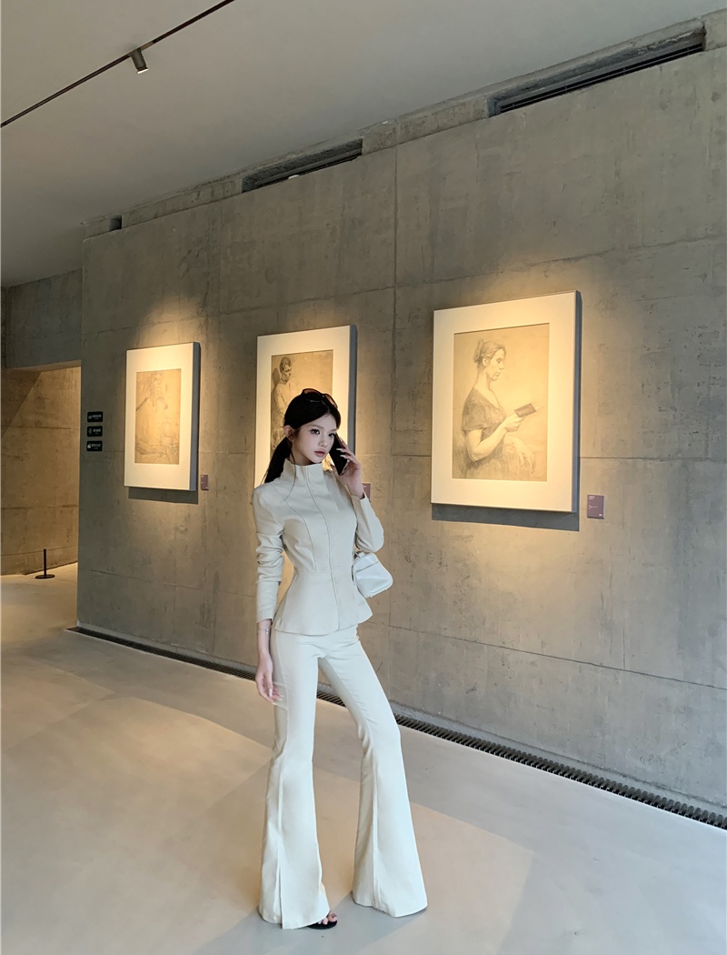 Cstand collar pants light tops 2pcs set for women