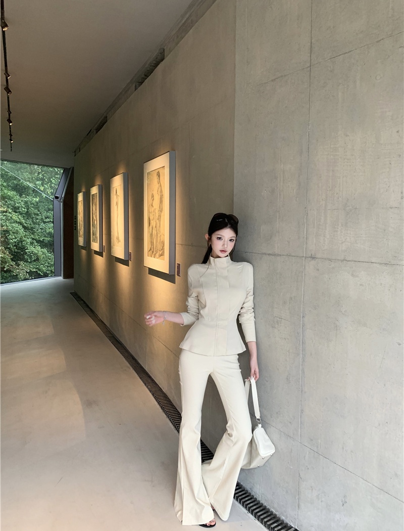 Cstand collar pants light tops 2pcs set for women