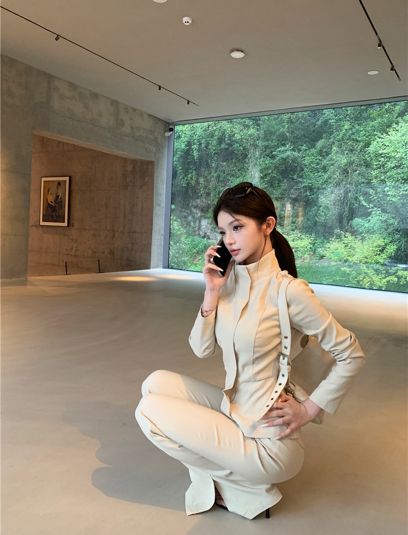 Cstand collar pants light tops 2pcs set for women
