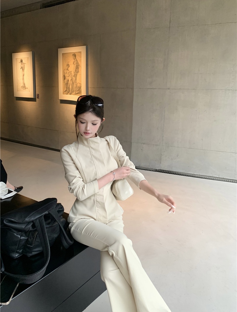 Cstand collar pants light tops 2pcs set for women