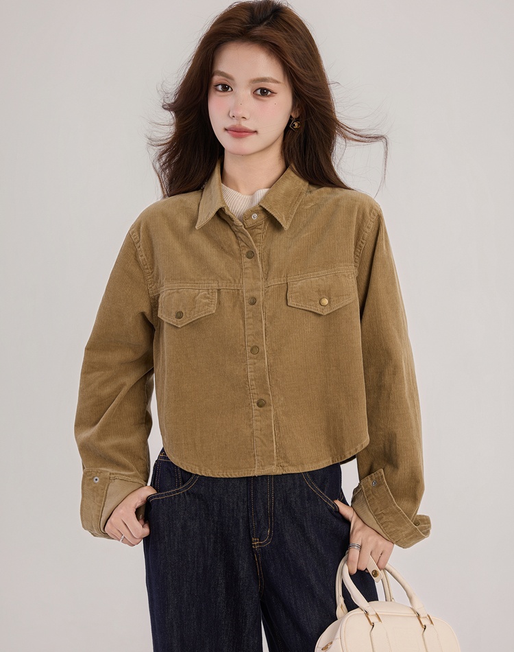 Short niche simple shirt long sleeve retro jacket for women