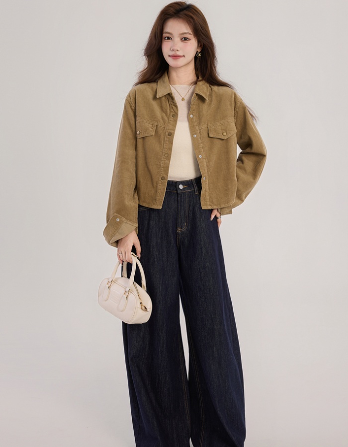 Short niche simple shirt long sleeve retro jacket for women