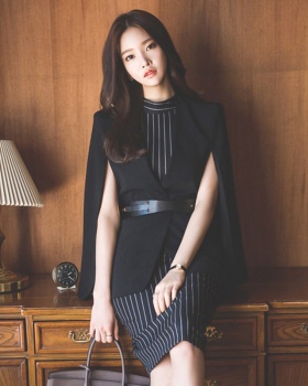 Autumn and winter dress business suit 2pcs set for women