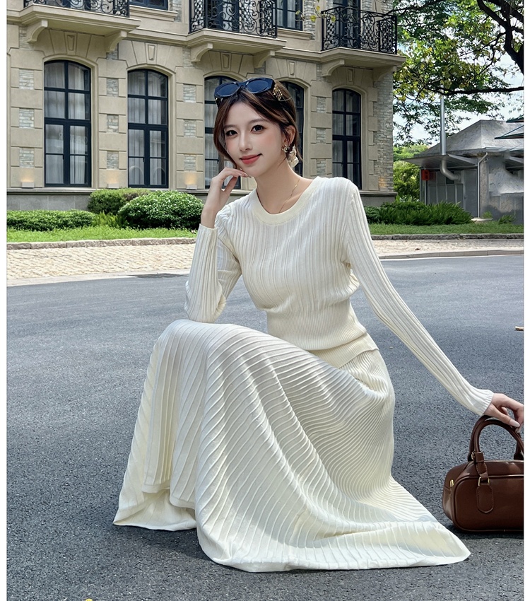 Pit stripe long skirt commuting tops 2pcs set