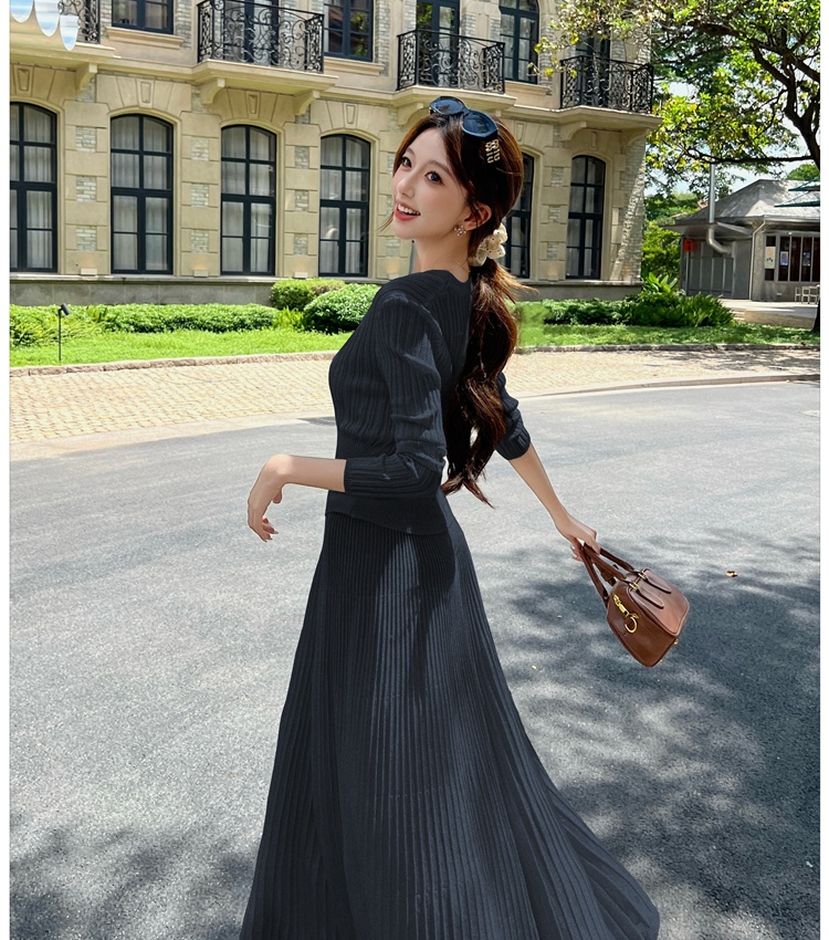 Pit stripe long skirt commuting tops 2pcs set