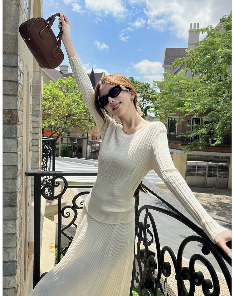 Pit stripe long skirt commuting tops 2pcs set