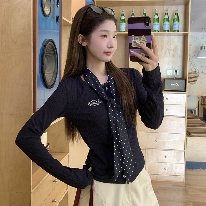 Autumn unique T-shirt embroidery knitted bottoming shirt