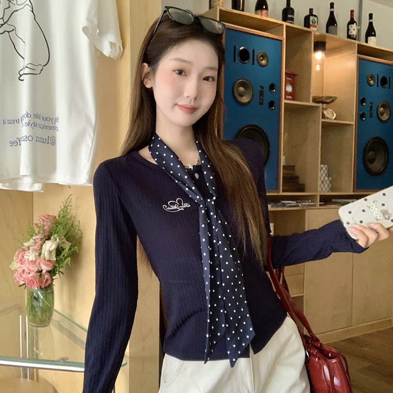 Autumn unique T-shirt embroidery knitted bottoming shirt