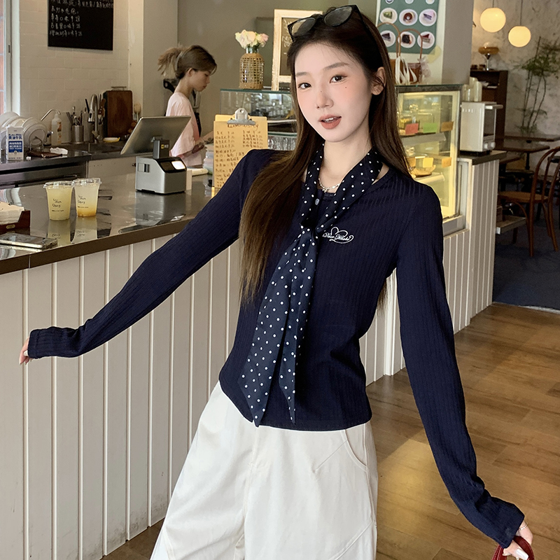 Autumn unique T-shirt embroidery knitted bottoming shirt