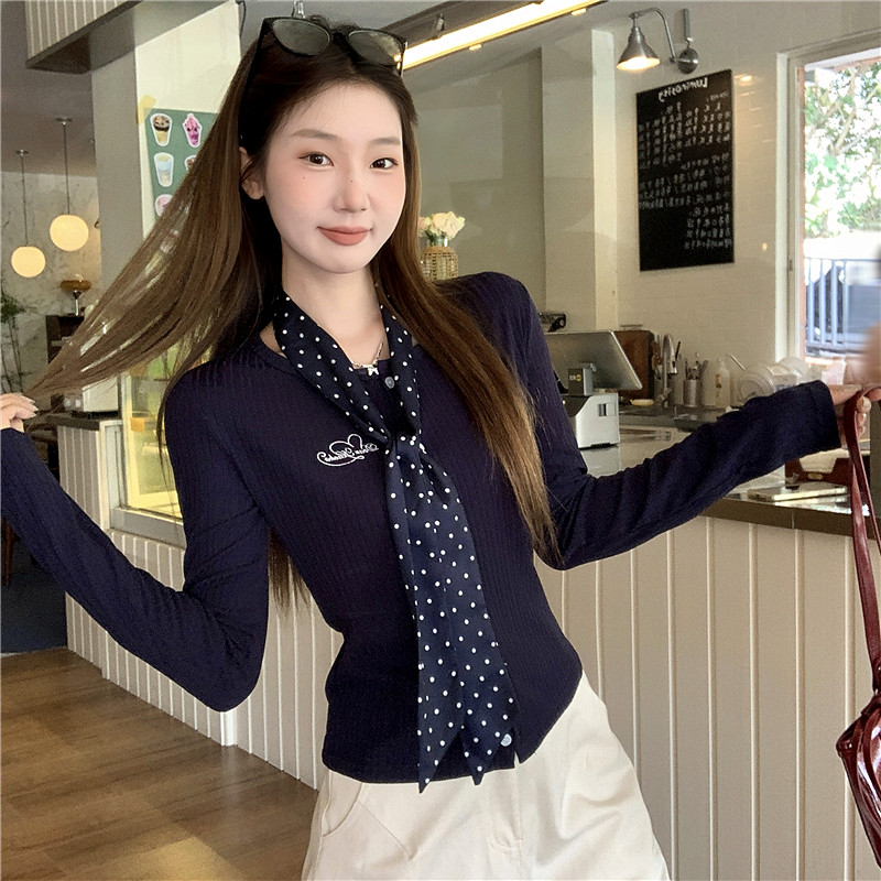 Autumn unique T-shirt embroidery knitted bottoming shirt