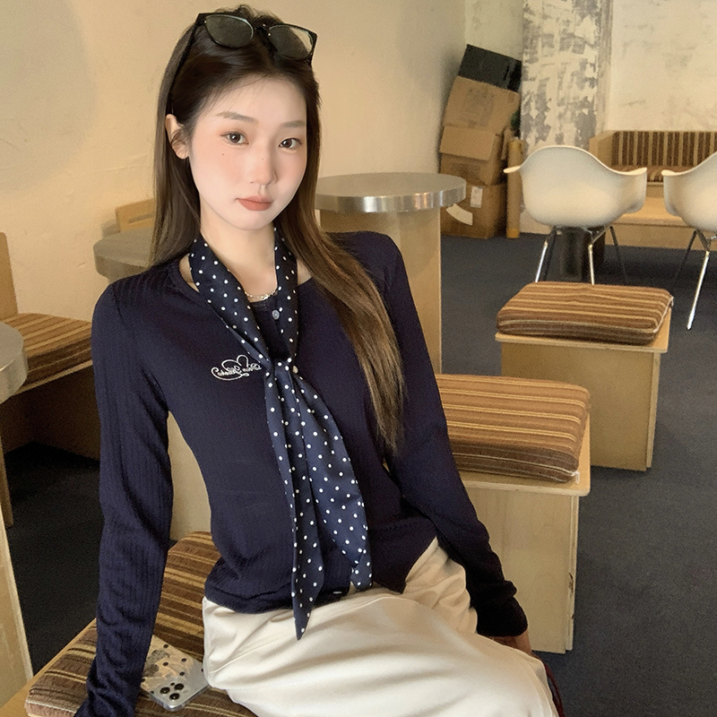 Autumn unique T-shirt embroidery knitted bottoming shirt