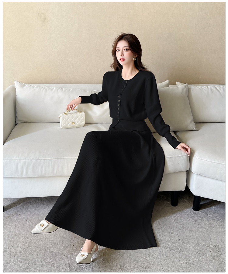 Knitted autumn skirt Korean style tops a set for women