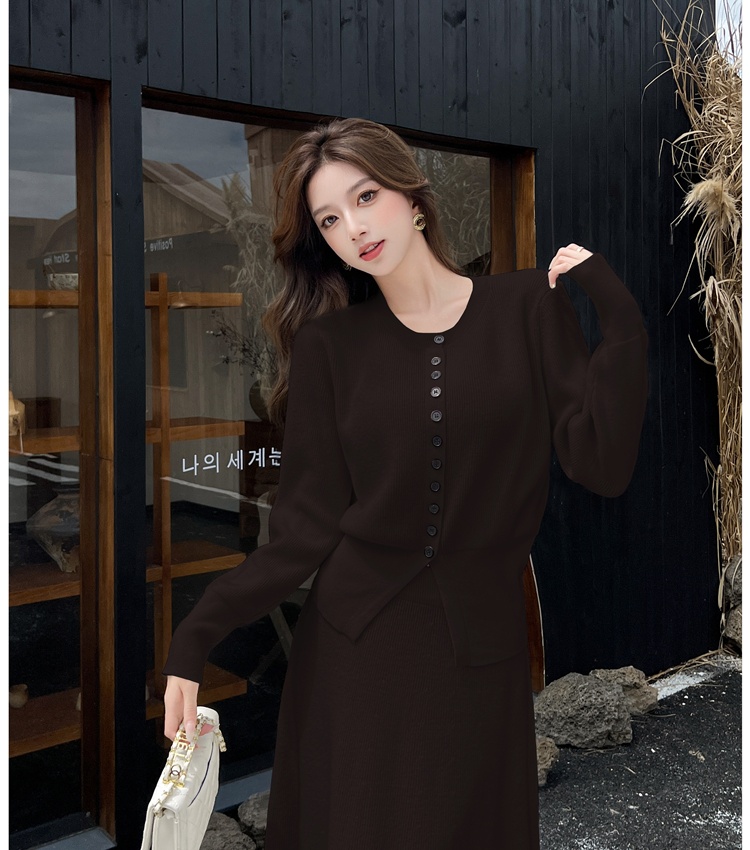 Knitted autumn skirt Korean style tops a set for women