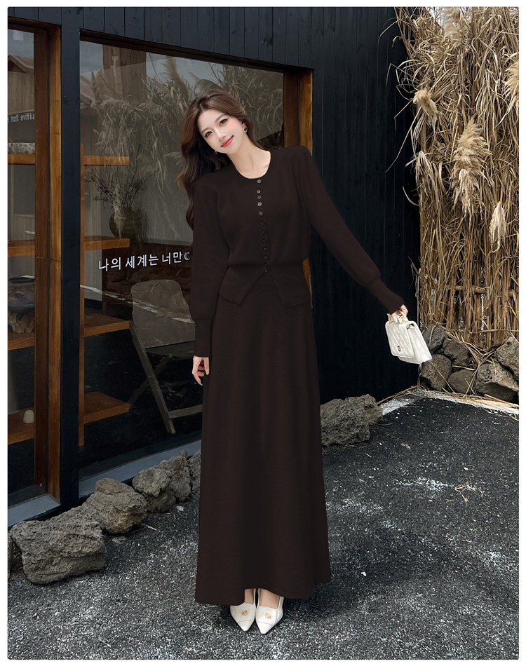 Knitted autumn skirt Korean style tops a set for women