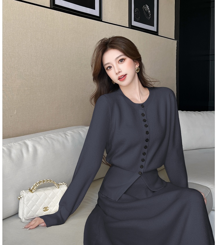 Knitted autumn skirt Korean style tops a set for women