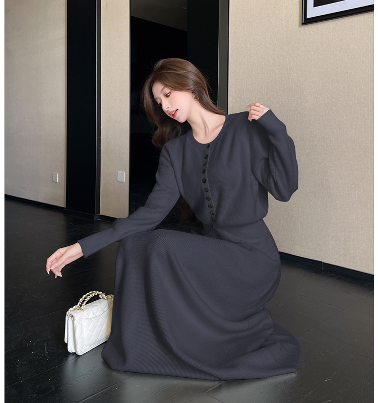 Knitted autumn skirt Korean style tops a set for women