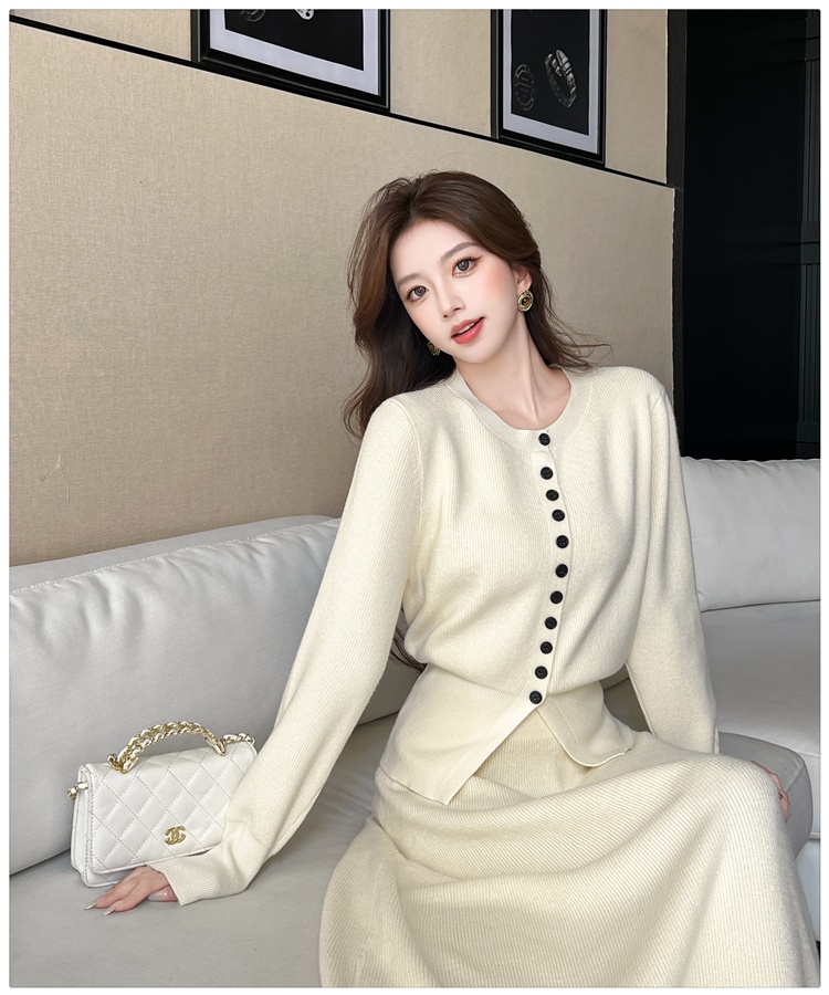 Knitted autumn skirt Korean style tops a set for women