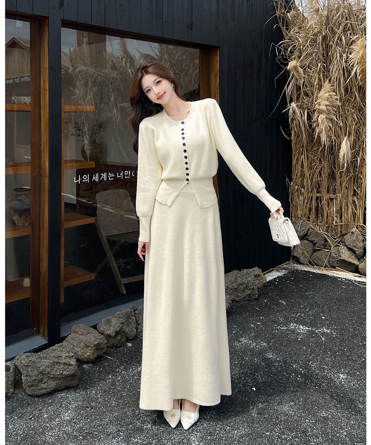 Knitted autumn skirt Korean style tops a set for women
