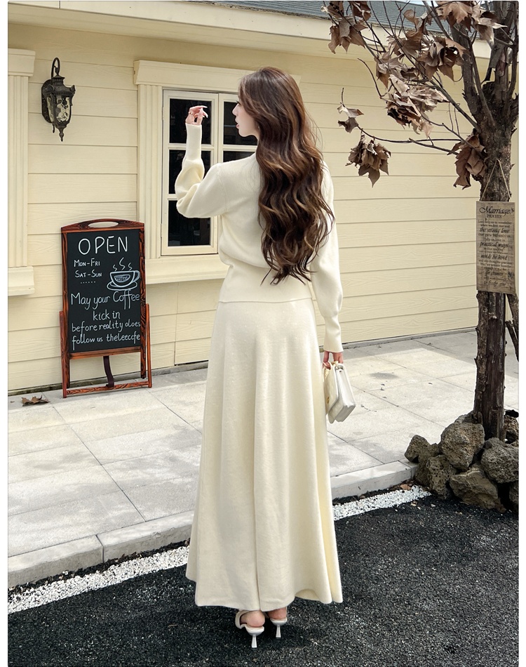 Knitted autumn skirt Korean style tops a set for women
