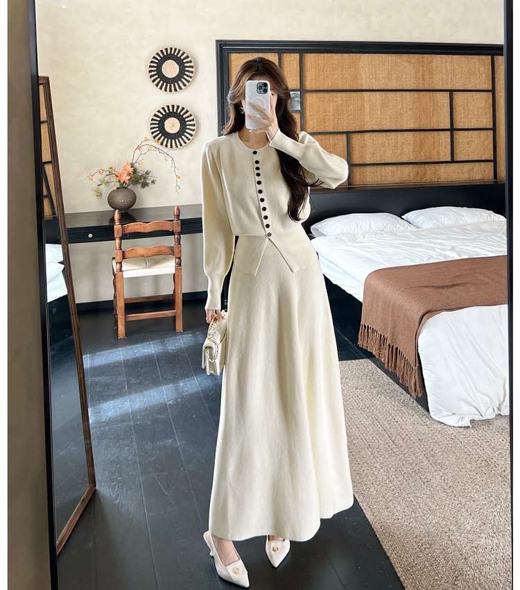 Knitted autumn skirt Korean style tops a set for women