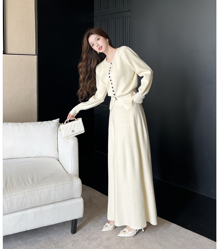 Knitted autumn skirt Korean style tops a set for women