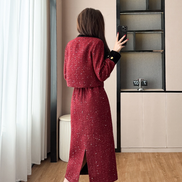 Fashion split long skirt round neck coat 2pcs set for women