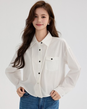 Korean style autumn shirt short niche tops