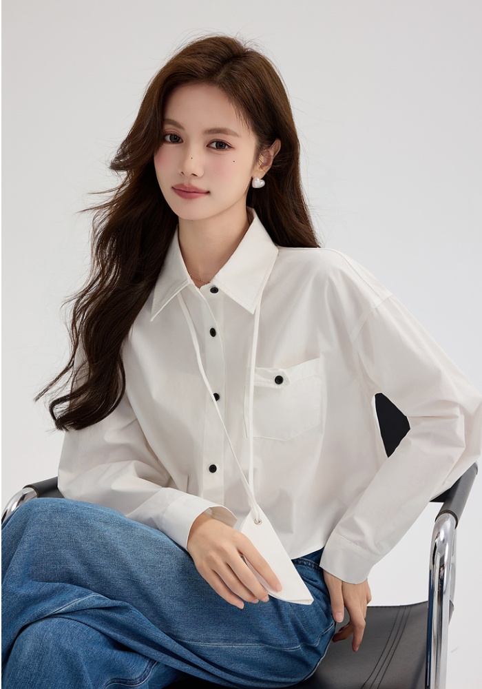 Korean style autumn shirt short niche tops
