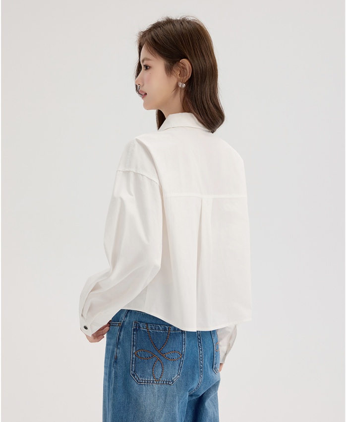 Korean style autumn shirt short niche tops