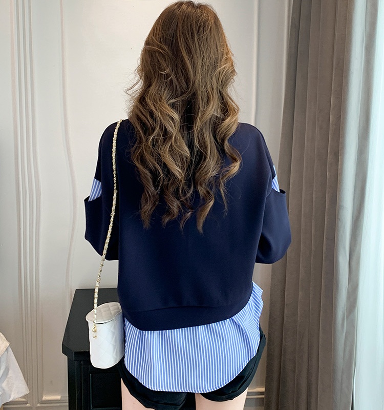 Pseudo-two Korean style tops autumn hoodie