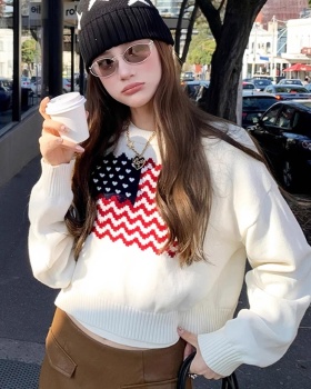 Autumn thin tops round neck long sleeve sweater for women