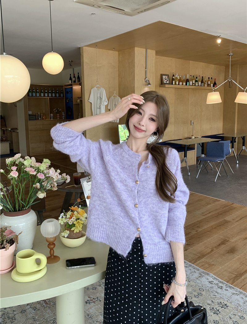 Korean style tops Western style sweater for women