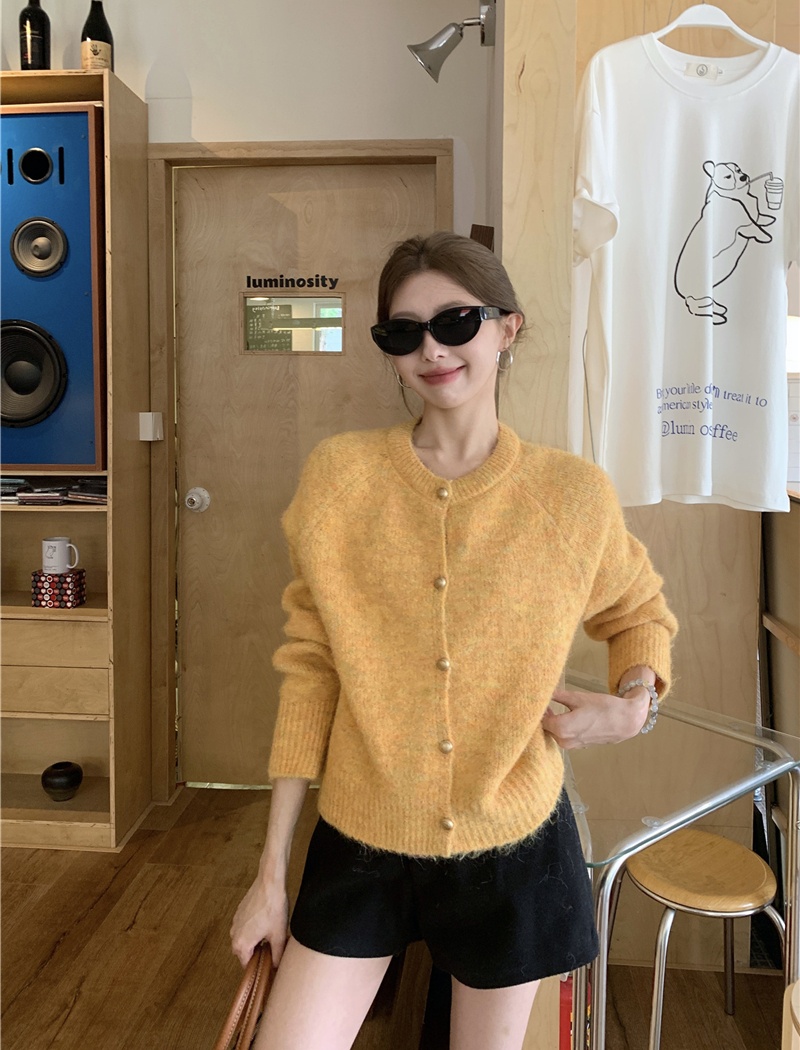 Korean style tops Western style sweater for women