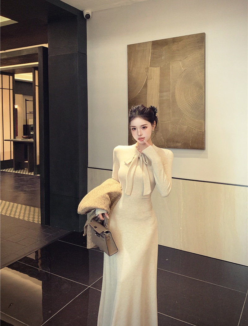 Bottoming France style cloak temperament dress 2pcs set