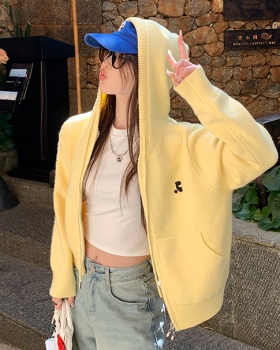 Knitted Korean style tops autumn sweater for women