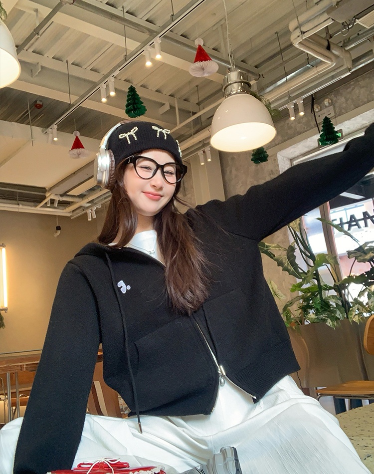Knitted Korean style tops autumn sweater for women