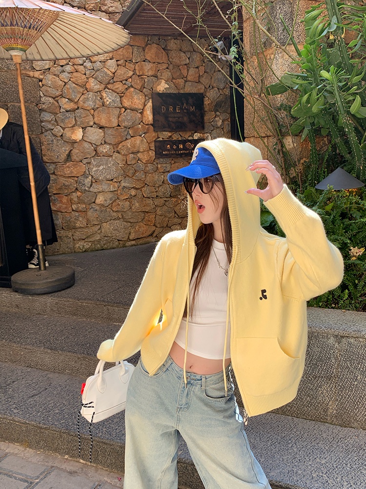 Knitted Korean style tops autumn sweater for women