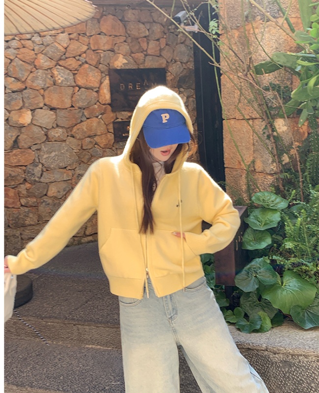 Knitted Korean style tops autumn sweater for women