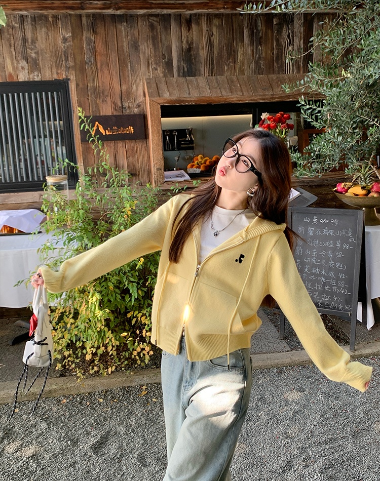 Knitted Korean style tops autumn sweater for women