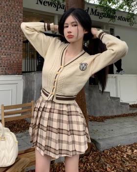 Embroidery pleated tops plaid short skirt 2pcs set