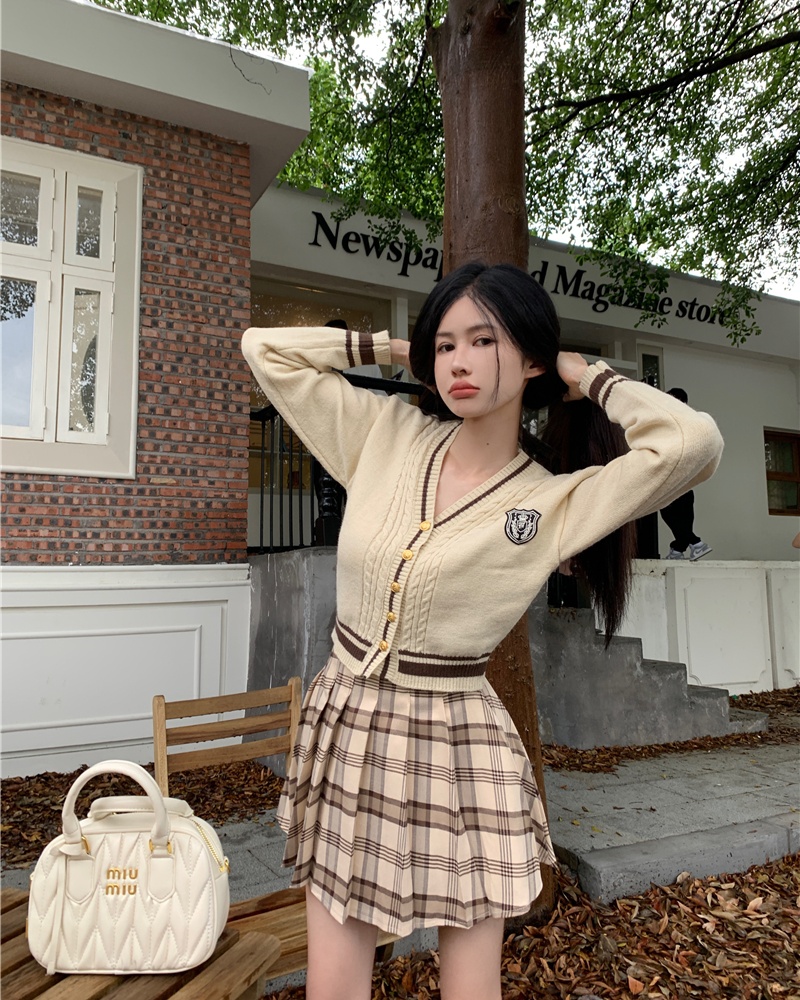 Embroidery pleated tops plaid short skirt 2pcs set