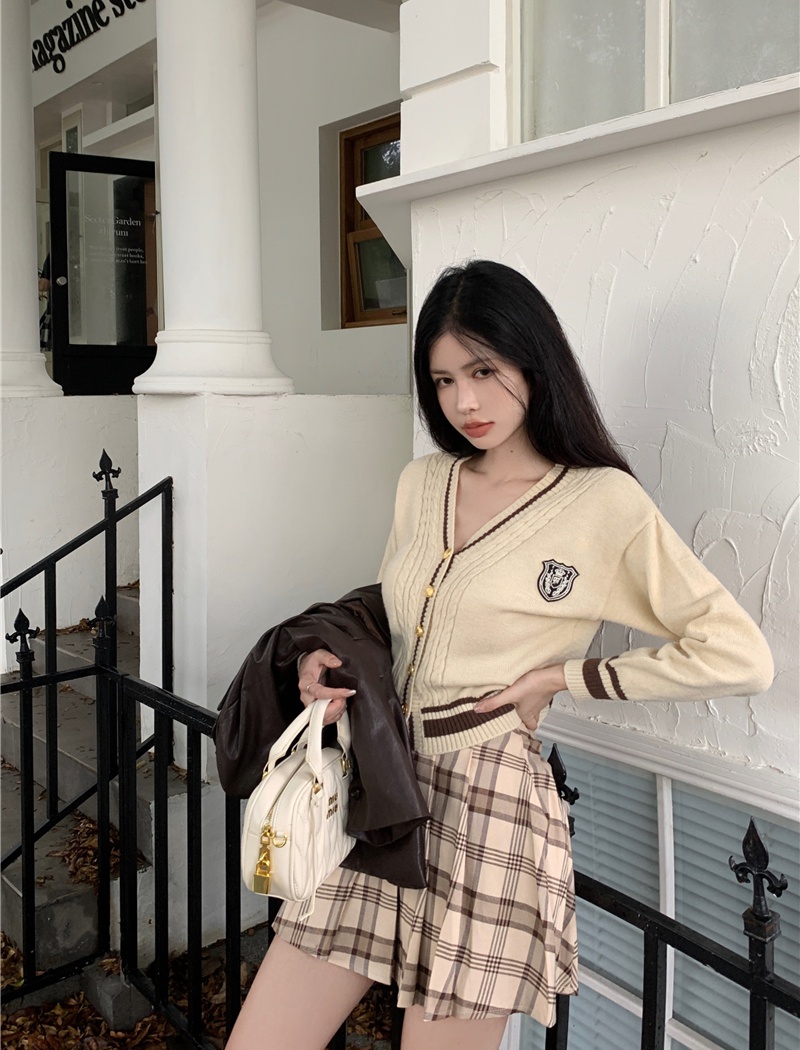 Embroidery pleated tops plaid short skirt 2pcs set