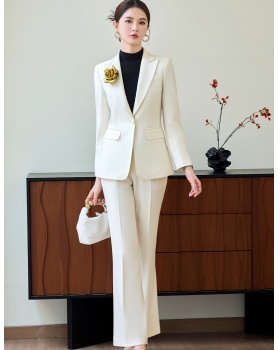 Profession suit pants business suit 2pcs set for women