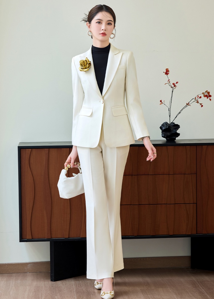 Profession suit pants business suit 2pcs set for women