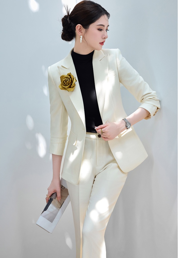 Profession suit pants business suit 2pcs set for women