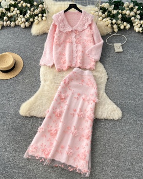 Embroidery tender skirt flowers tops 2pcs set for women